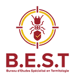 Best termites